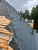 IMG-20250626-WA0002